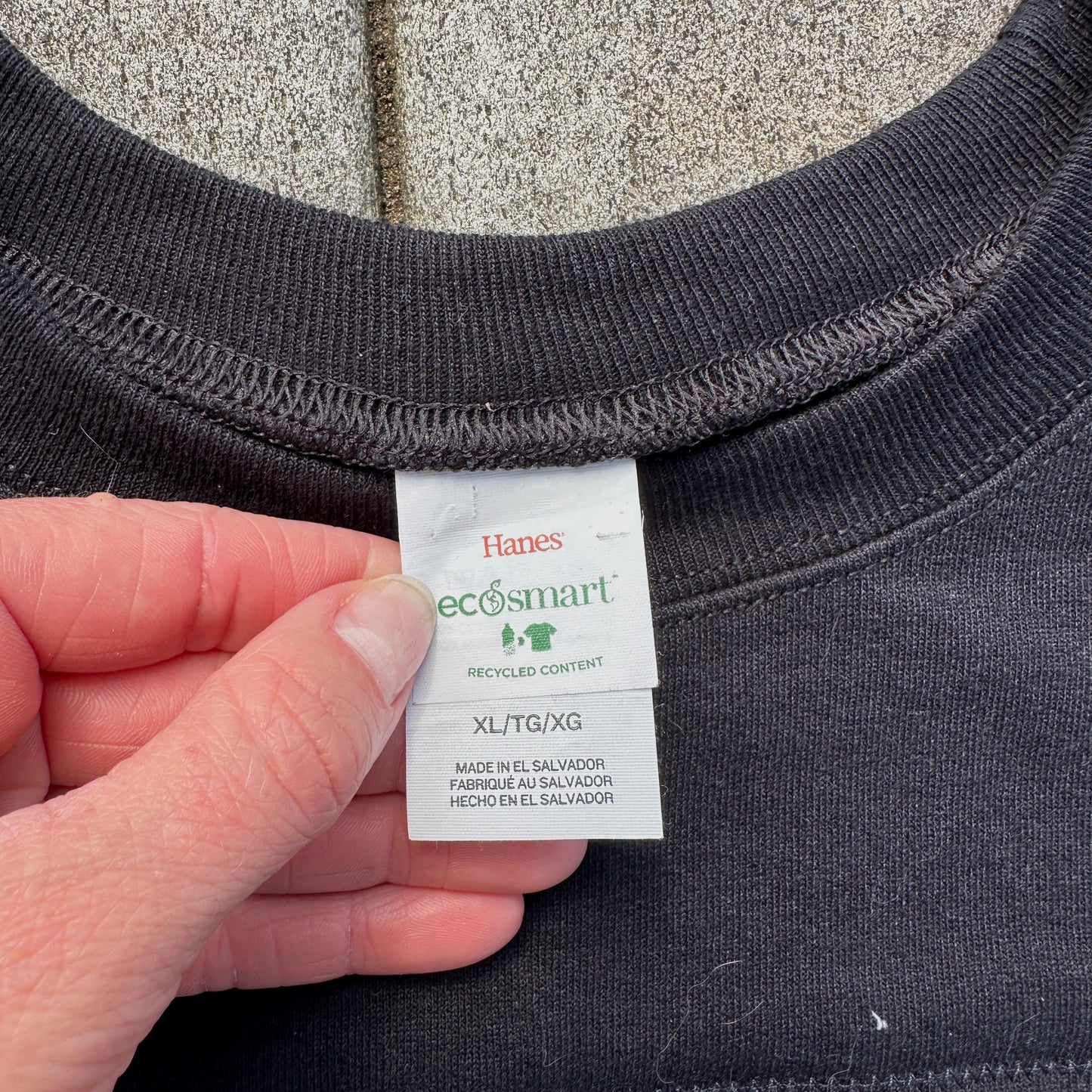 Birds of the World Crew